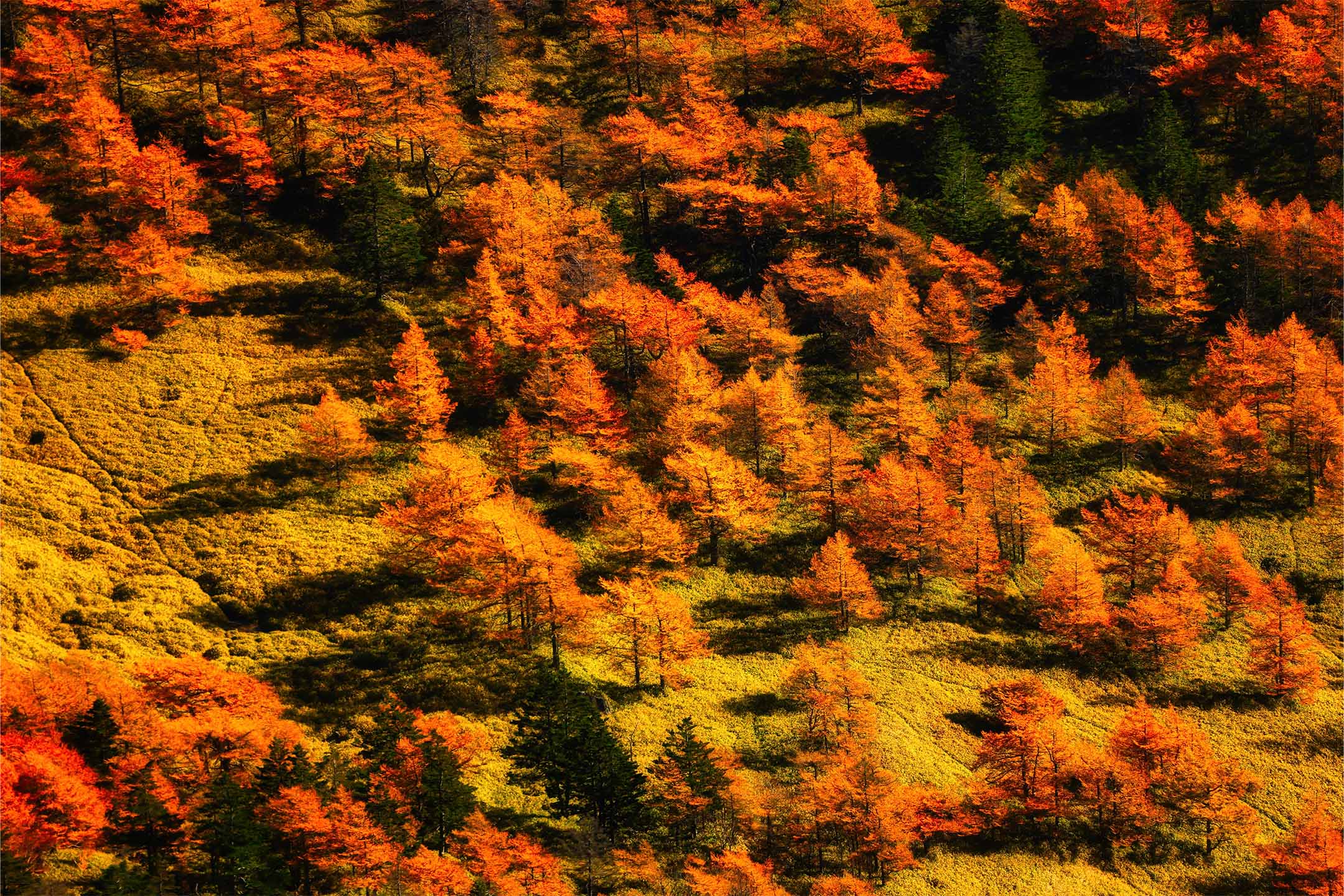 ESSENCE KARUIZAWA